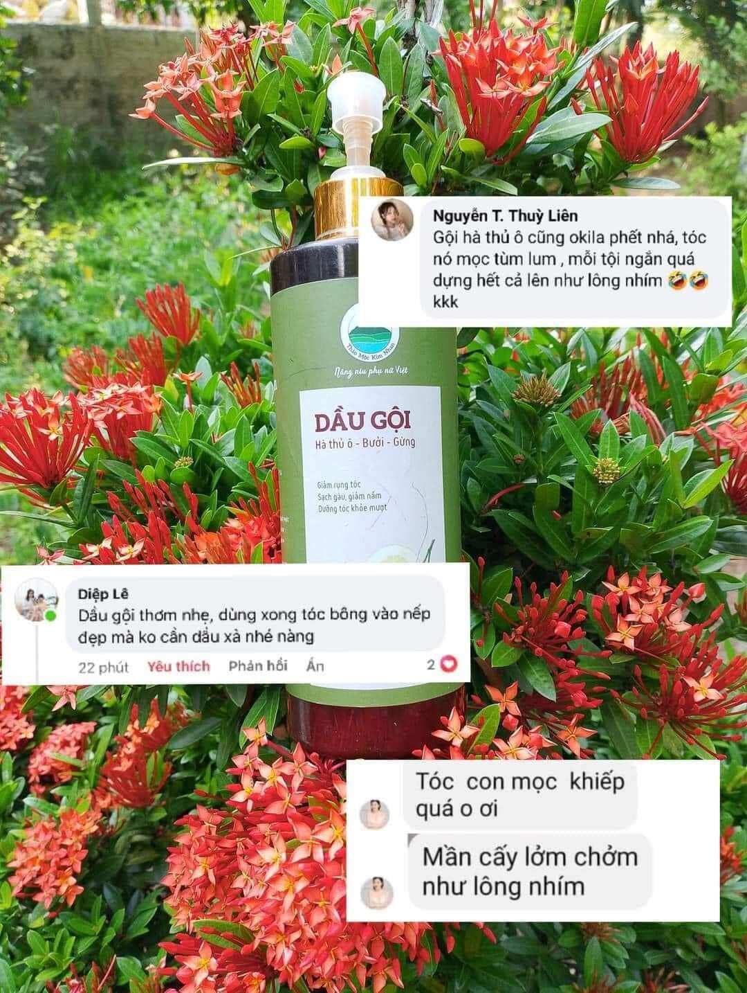Dầu gội Hà Thủ Ô-Bưởi - Gừng