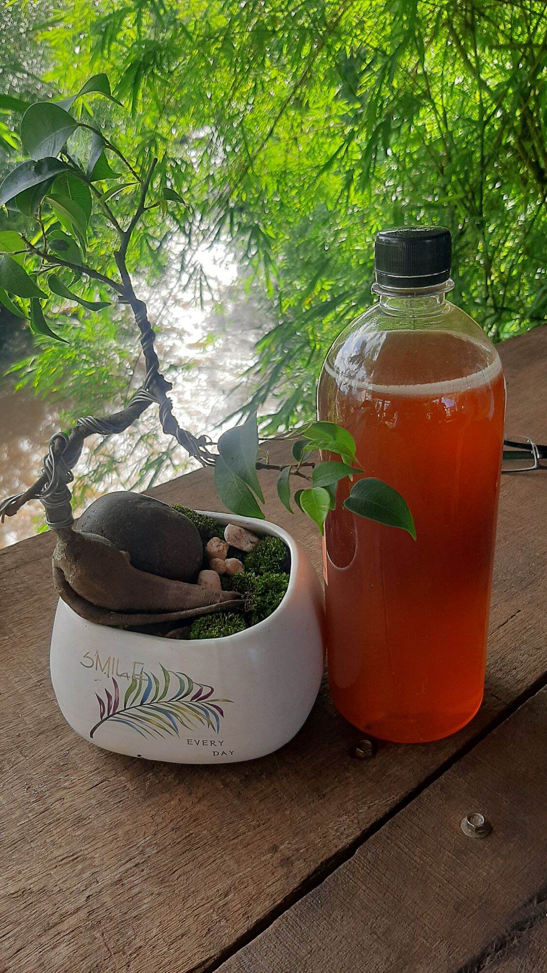 500ml mật ong rừng tự nhiên