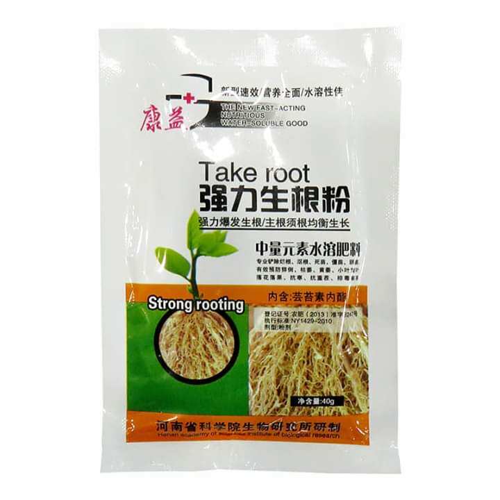 Kích rễ take root