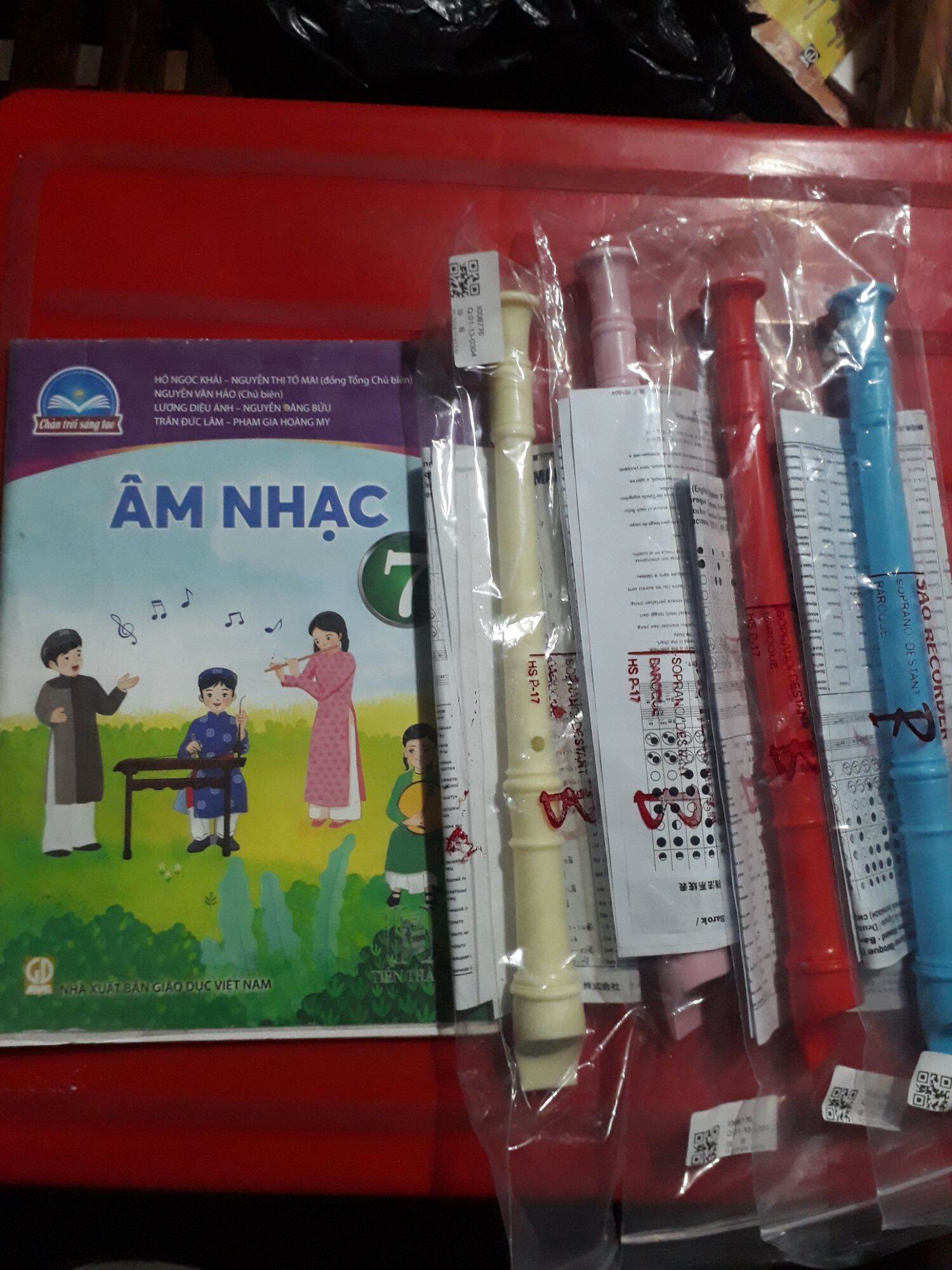 sáo recorder ..8 lỗ rẻ dễ thổi