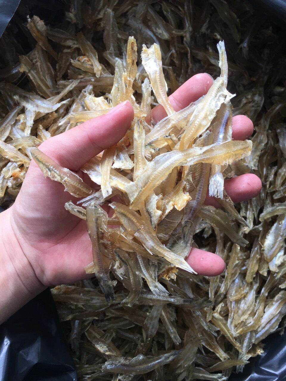 500GR KHÔ CÁ CƠM RỜI SẤY KHÔ CON BỰ
