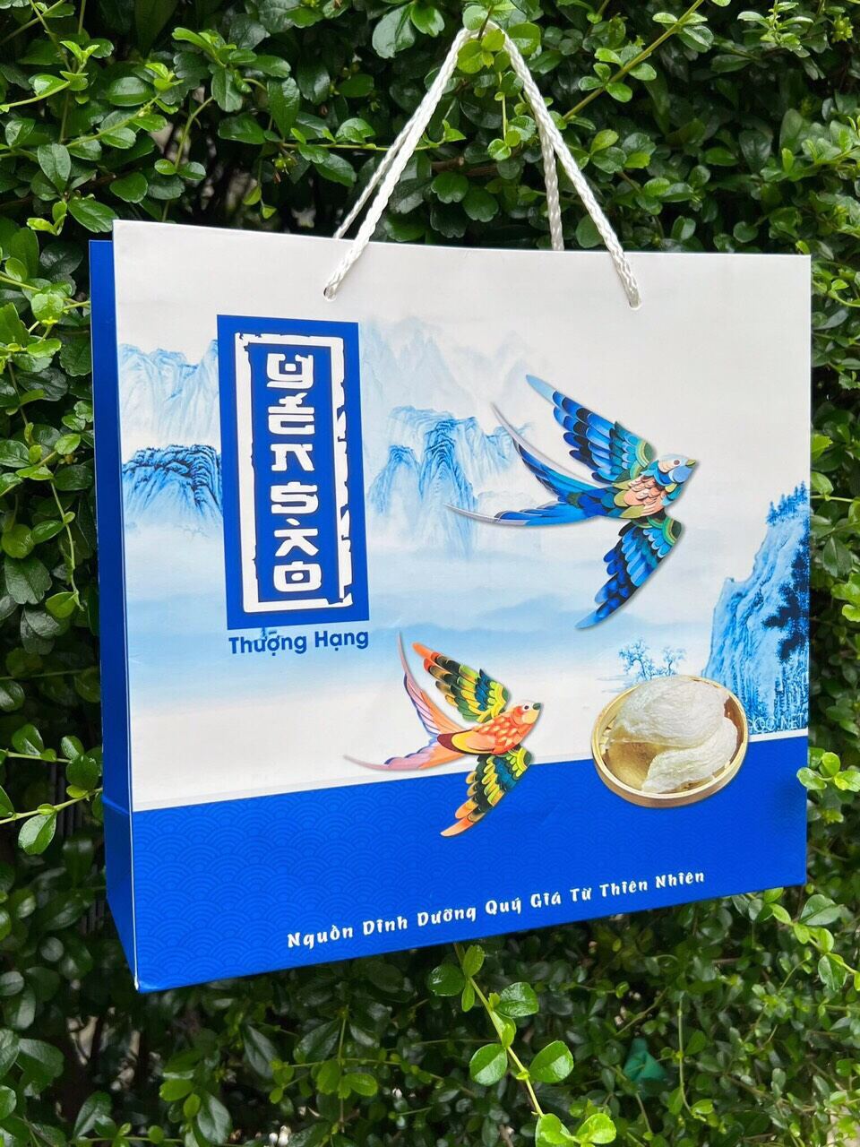 TÚI GIẤY ĐỰNG YẾN SÀO 100 gr(KHÔNG ÉP KIM )