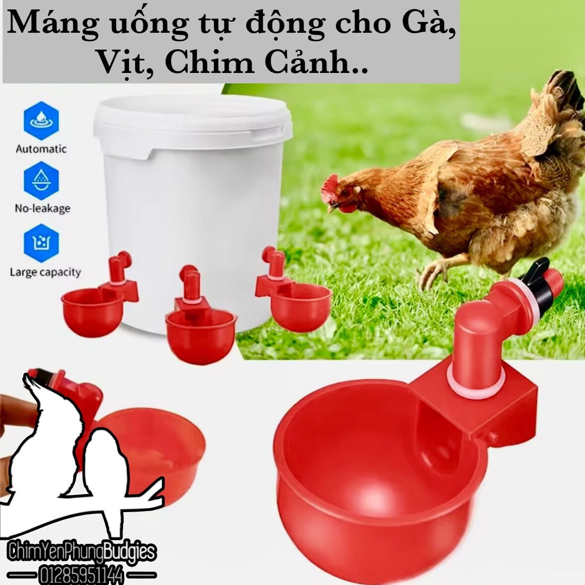 Máng uống nước tự động cho Gia Cầm • Chim Cảnh .