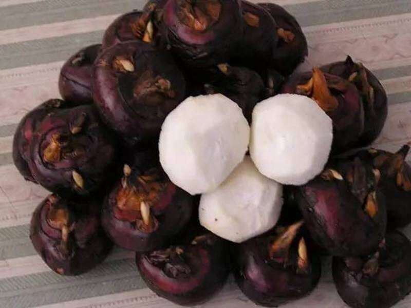 1kg củ năng tươi nấu chè, thạch củ năng