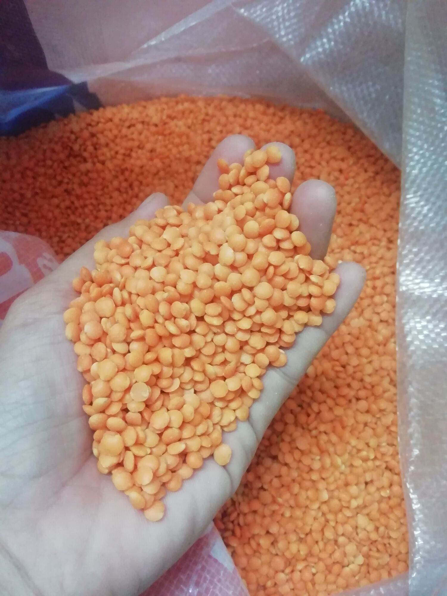Đậu lăng đỏ gói 1kg