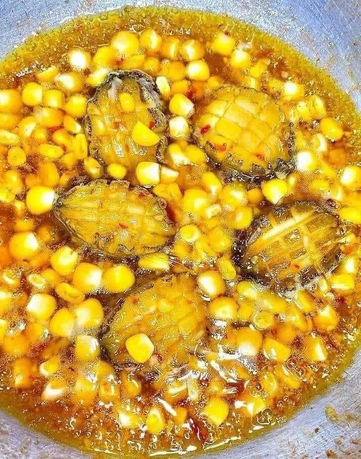 0,5kg Bào ngư Hàn Quốc (size 9-10 con/0,5kg) GIAO LIỀN
