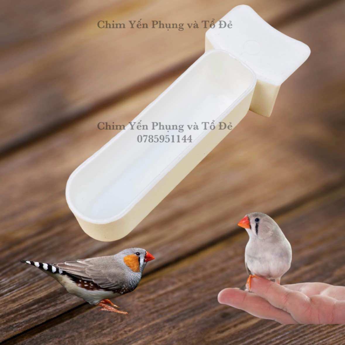 Cóng nhỏ đựng khoáng, vitamin cho chim cảnh.