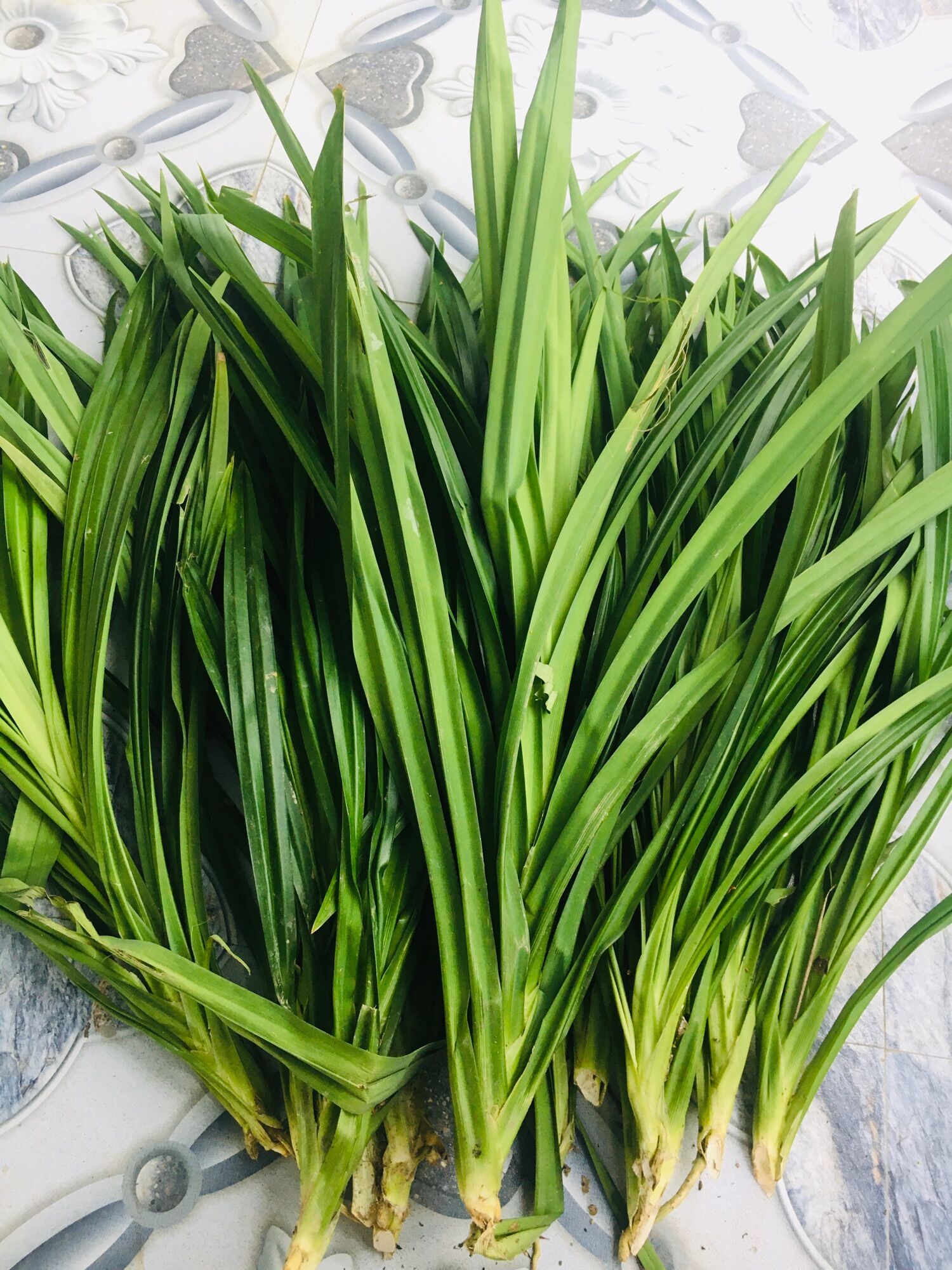 Lá dứa tươi 1kg