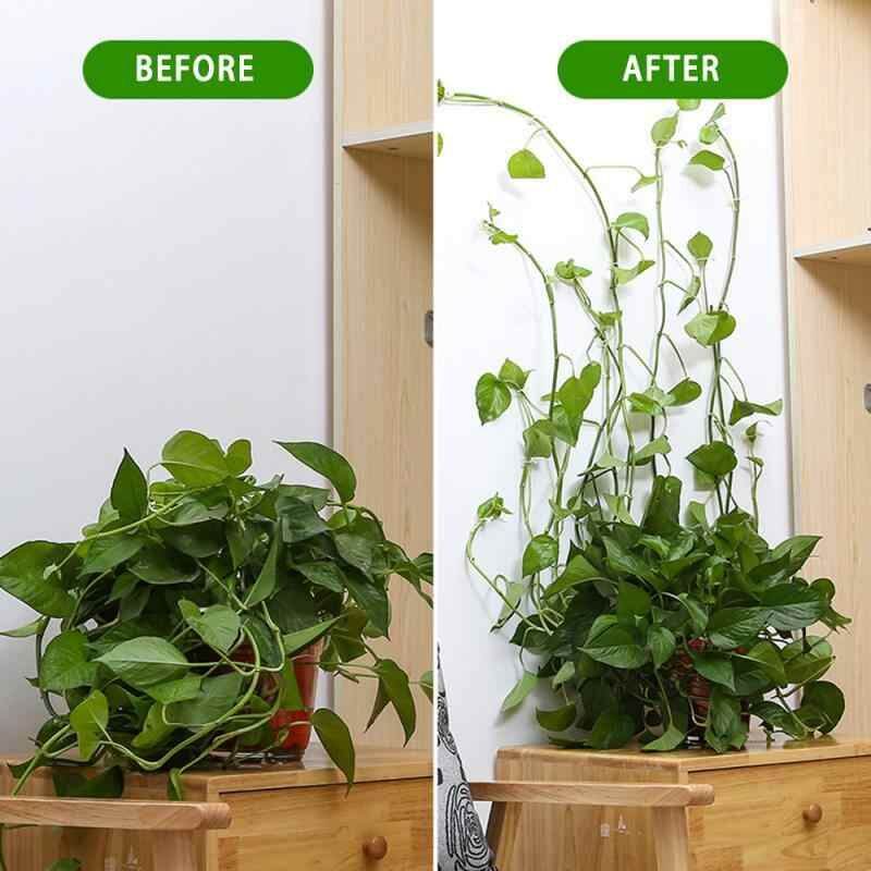 [HCM]10 KẸP CỐ ĐỊNH CÂY DÂY LEO