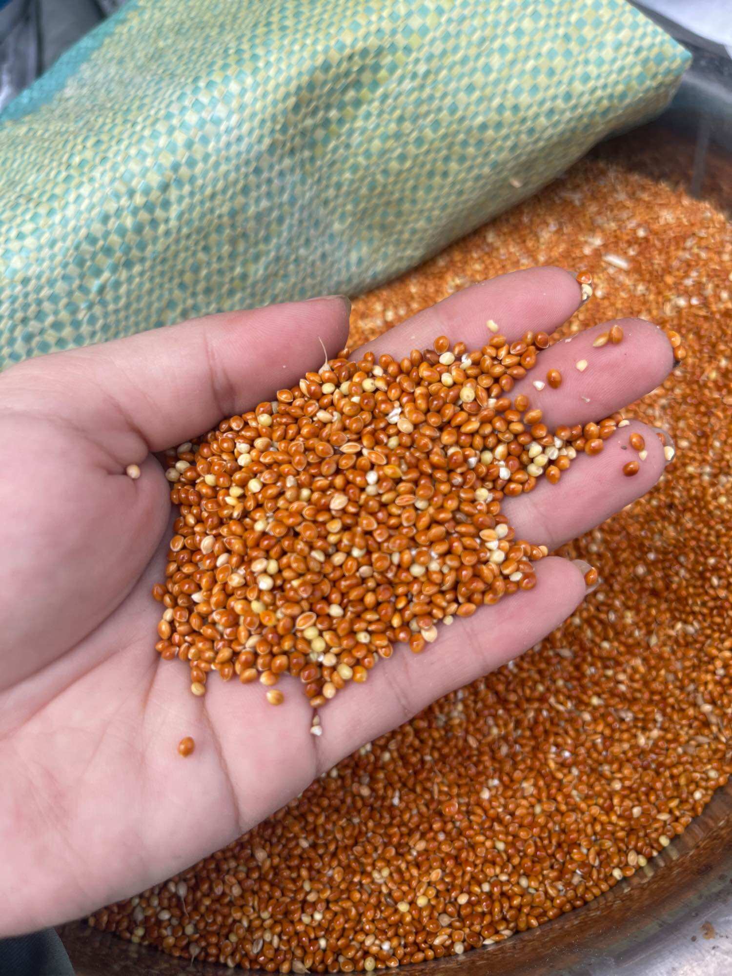 Hạt Kê Bóng Đỏ To Dành Cho Chim Ăn 1kg