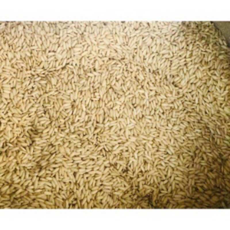 NẾP LỨT SÁP NGỖNG HẠT DÀI (1KG)