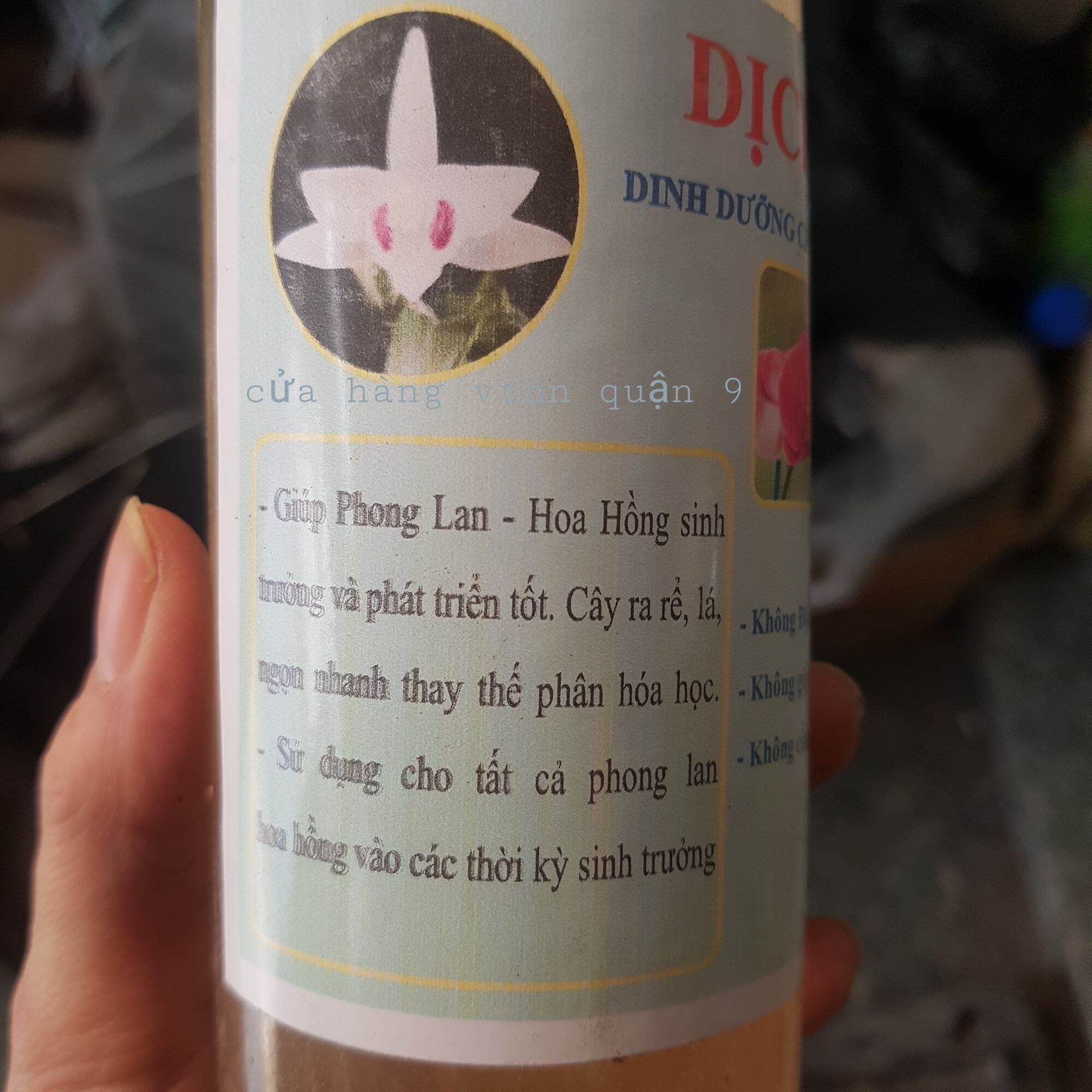 Dịch chuối trồng lan