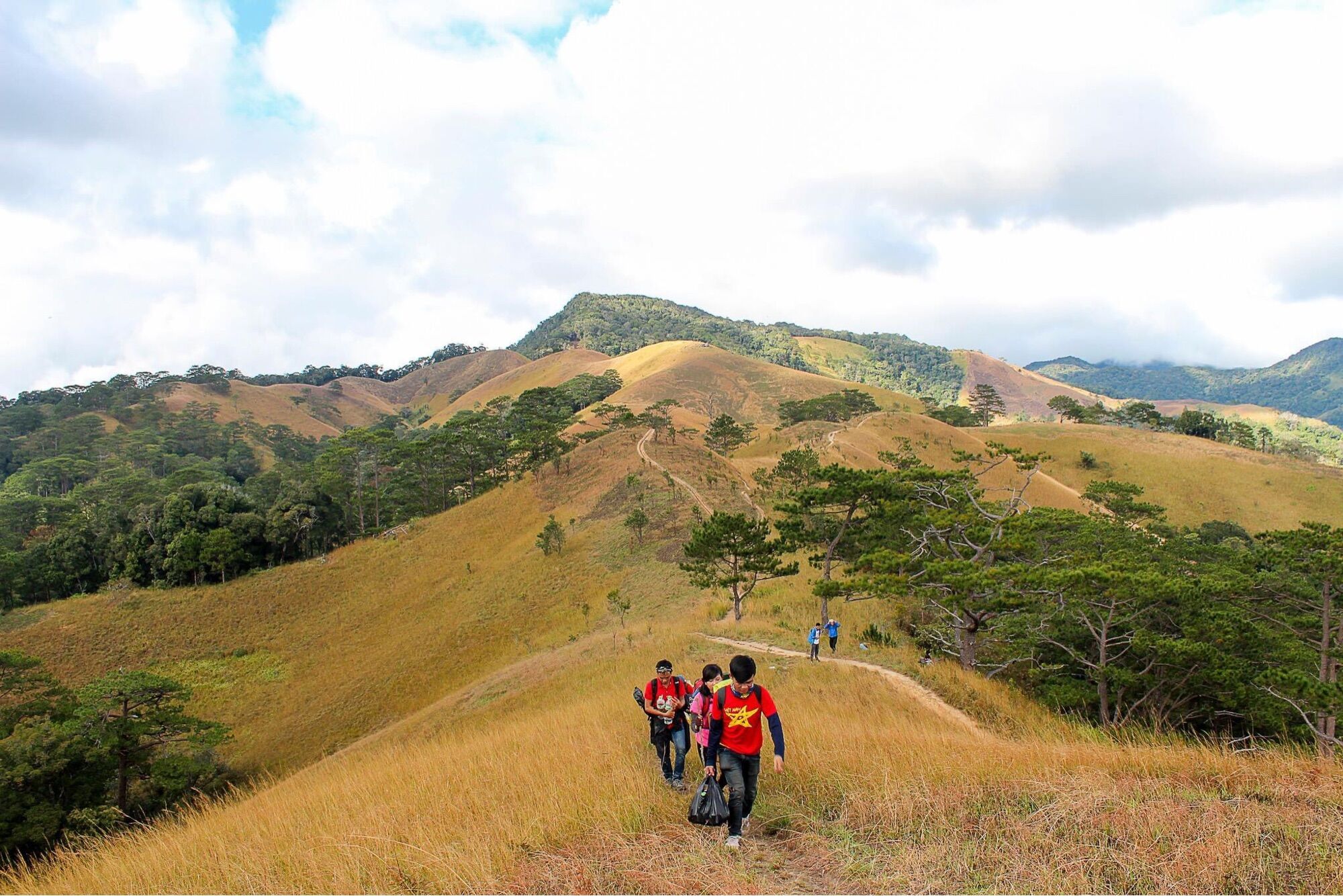 Bếp ga dã ngoại xếp gọn Naturehike