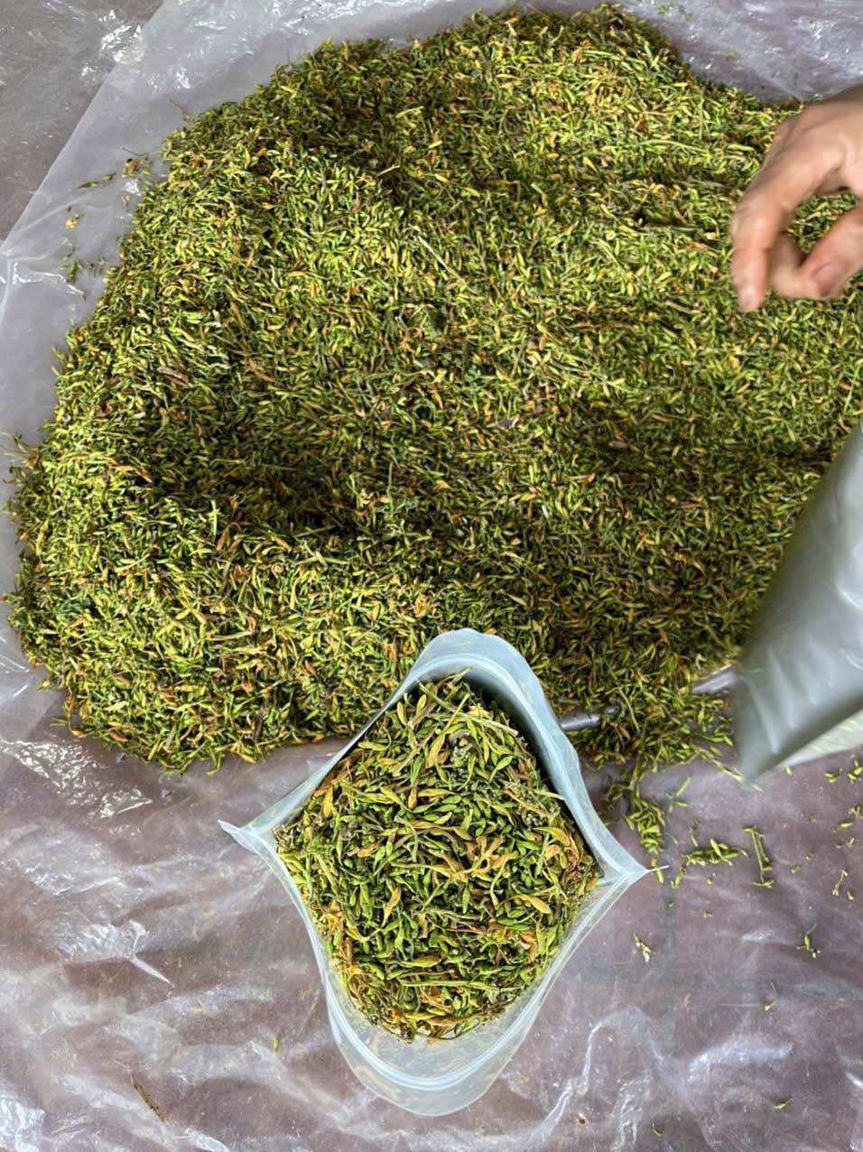 Hoa đu đủ đực sấy khô 500g
