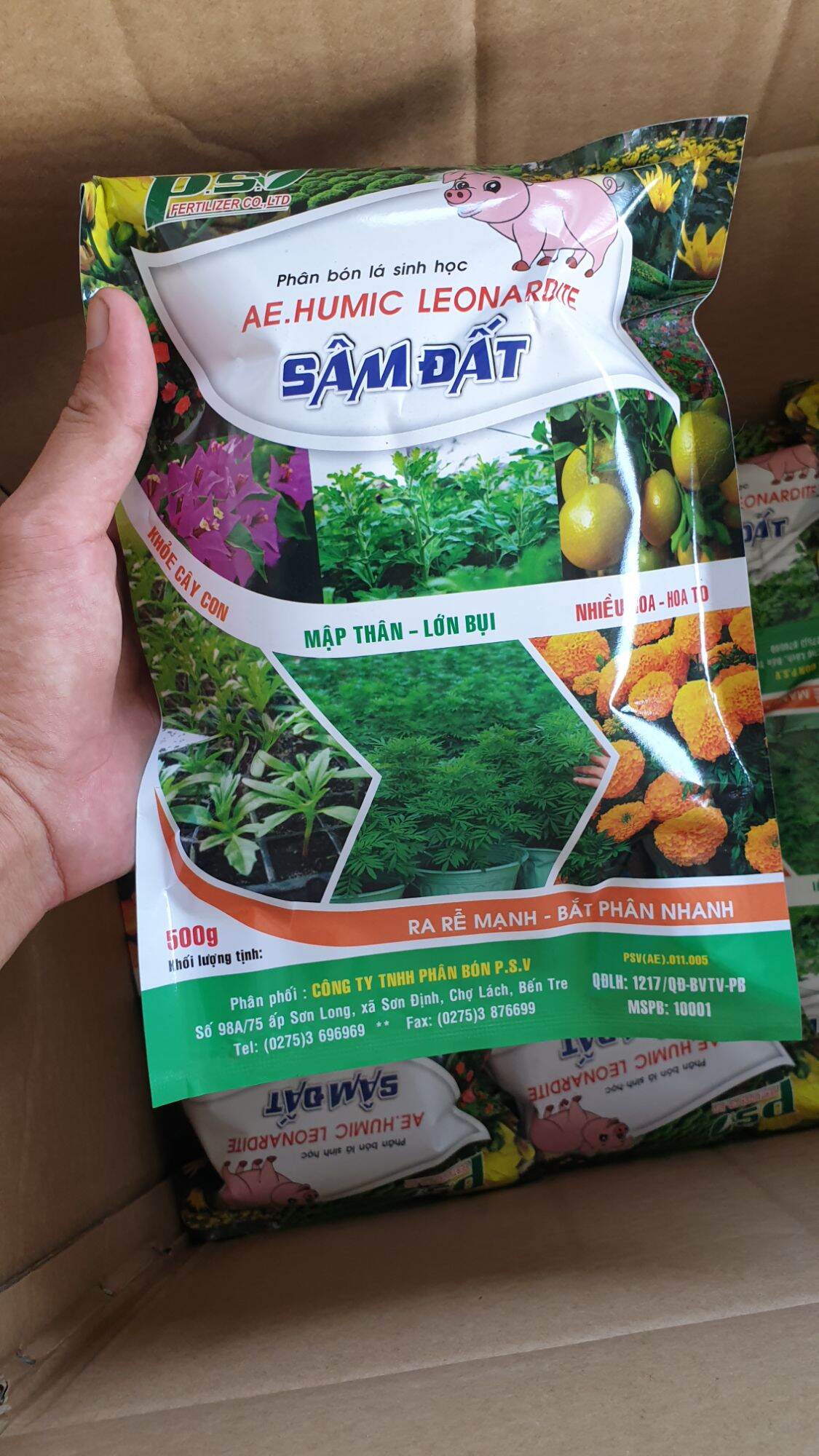 Sâm Đất - Humic Leonardite