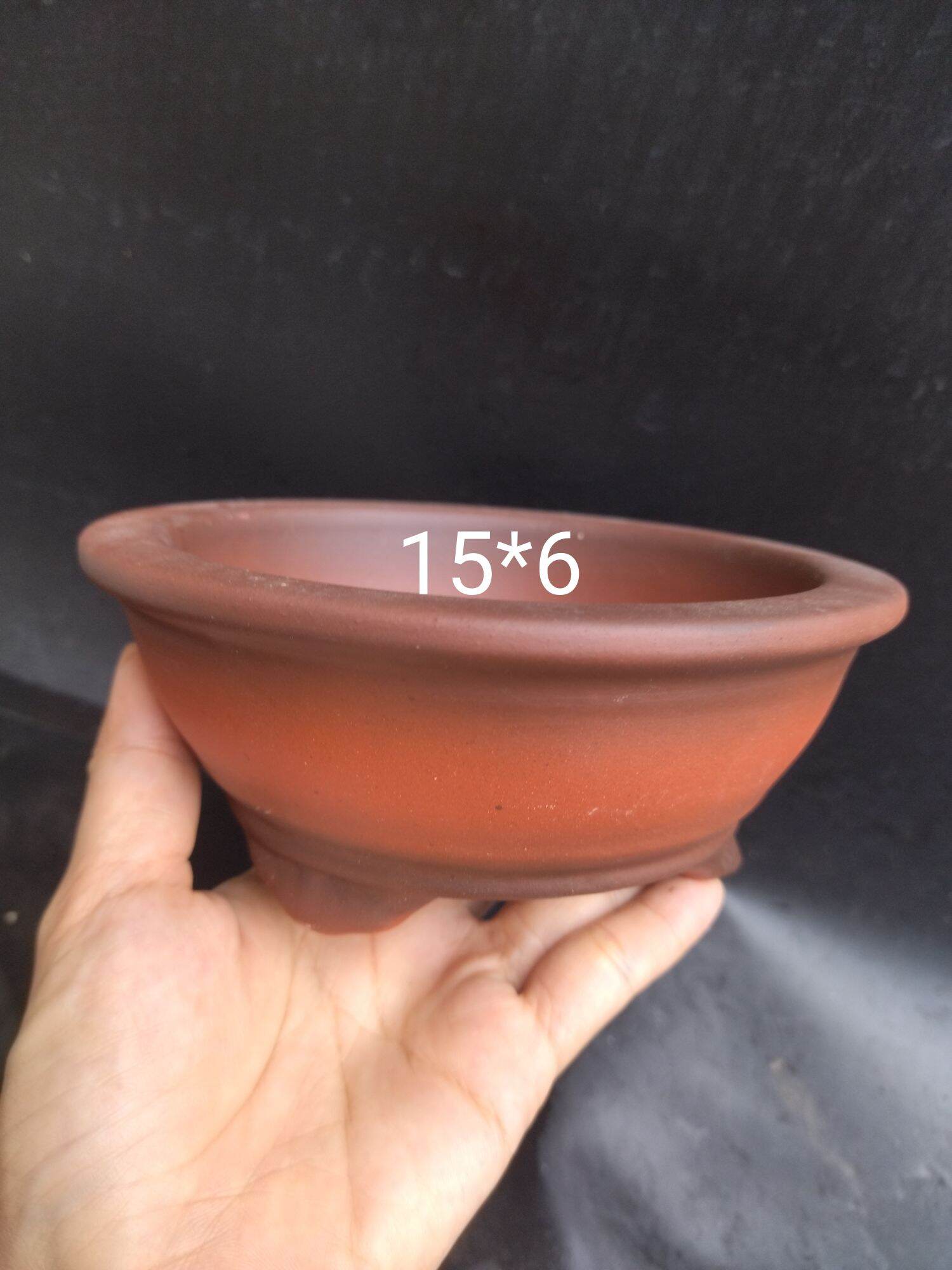 chậu tròn bonsai, trồng sen đá