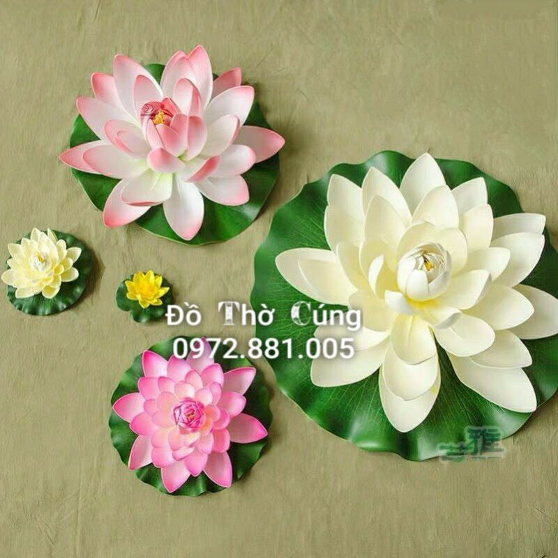 Hoa sen thả bể trang trí / thả hoa ban thần tài