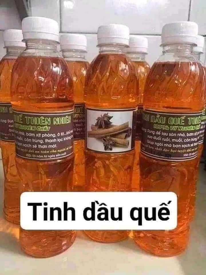 Tinh dầu quế chai 500ml lau nhà đuổi muỗi diệt virus