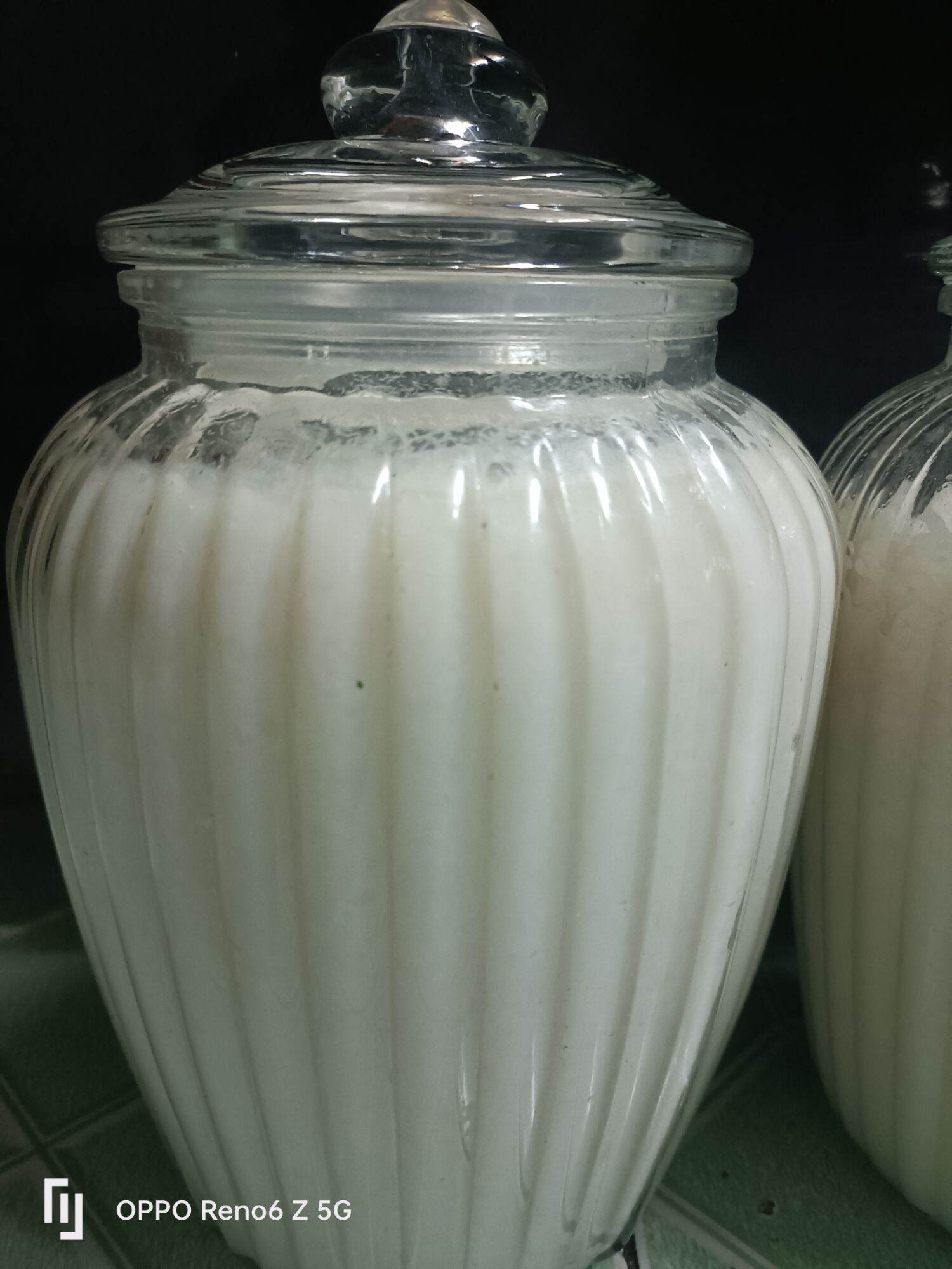 MẺ CHUA (cơm mẻ) Dùng hoặc nuôi lại