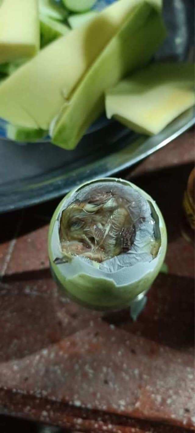 10 trứng hột vịt xác