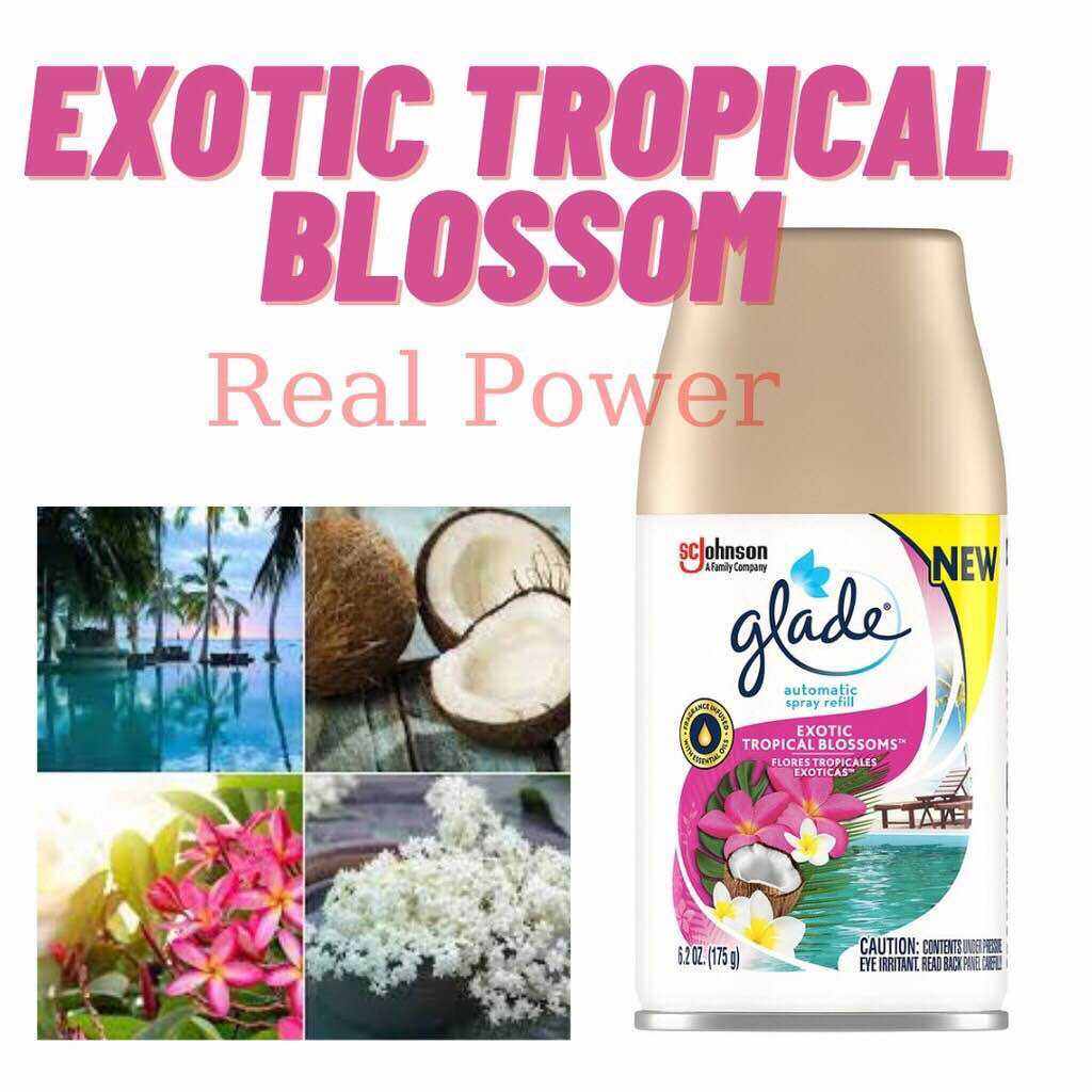 Lõi Xịt Phòng Tự Động Glade 175g