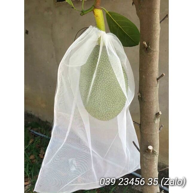 [Túi 50*70] 20 Cái TÚI BAO, BỌC MÍT LƯỚI MÙNG DÀY LOẠI TỐT KÍCH THƯỚC 50*70