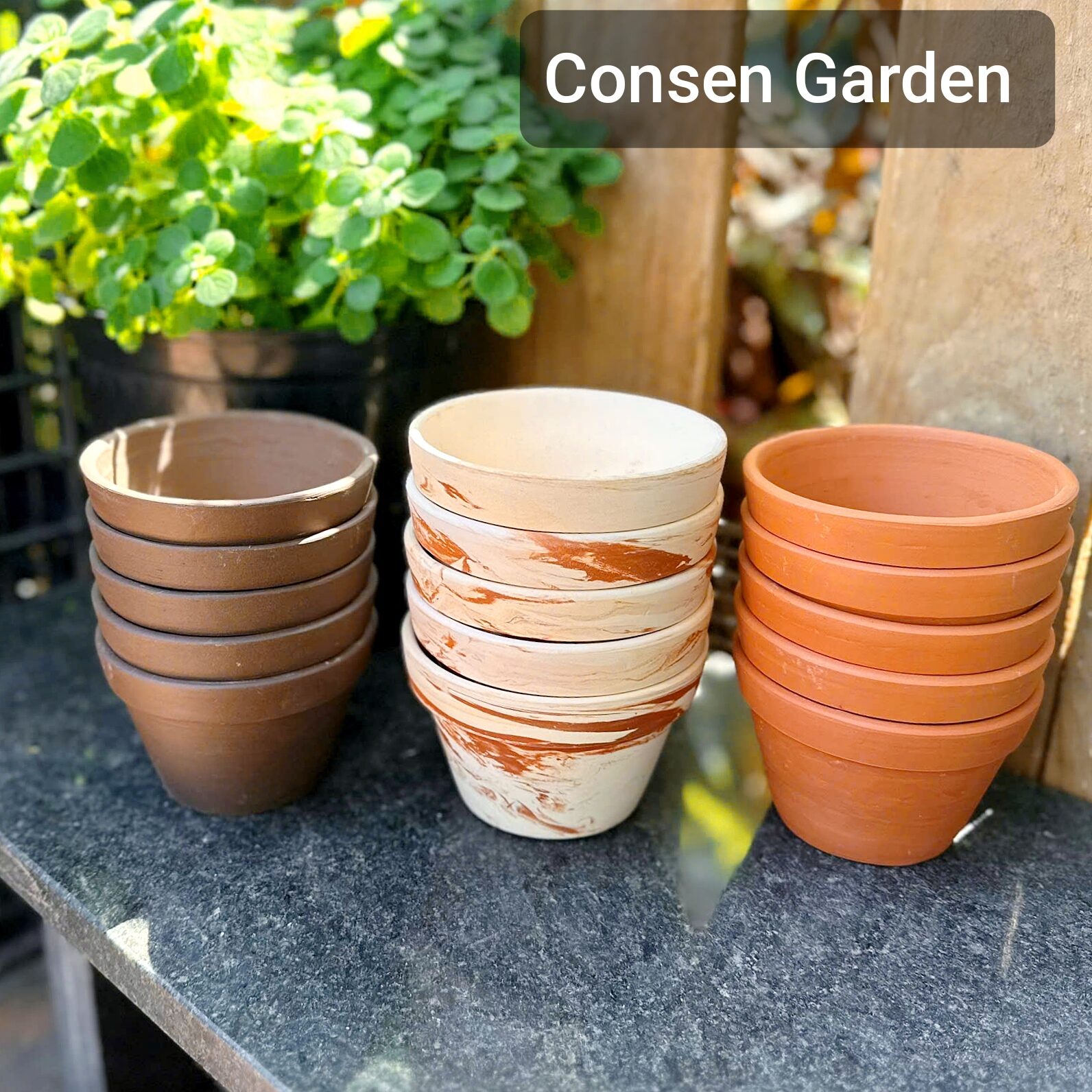 [Bao Bể Vỡ] Combo 5 Chậu Đất Nung Trồng Sen Đá Size 10 x7 cm