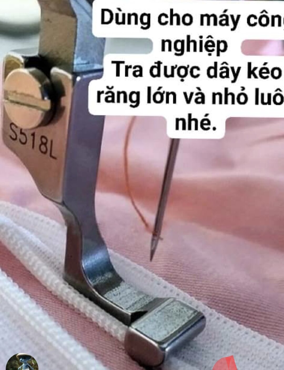 CHÂN VỊT TRA KHÓA GIỌT LỆ