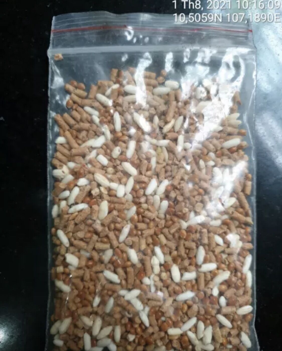 Mồi Nhử Chuột Đặc biệt ( không độc hại , an toàn khi sử dụng )