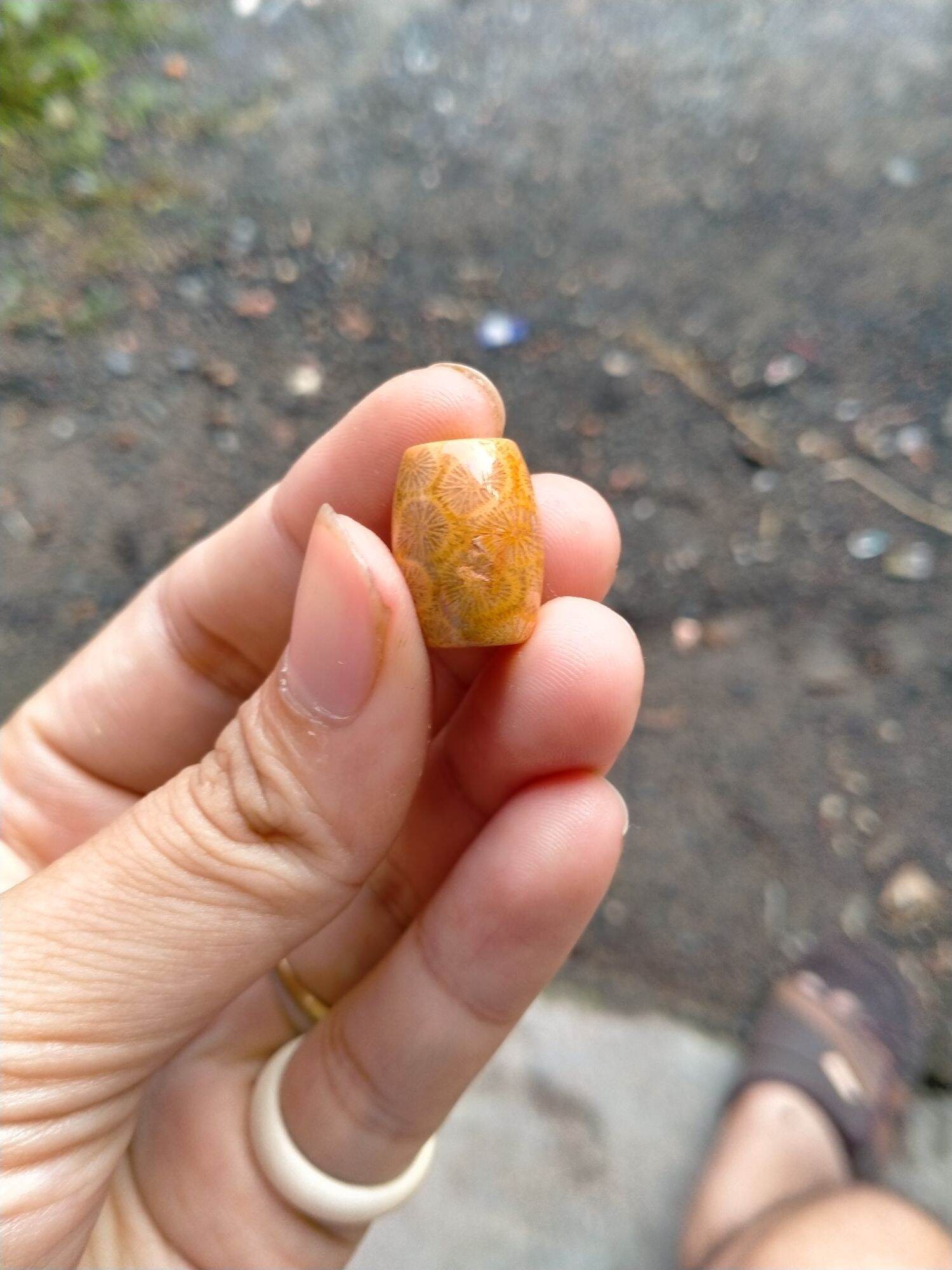 Lu san hô