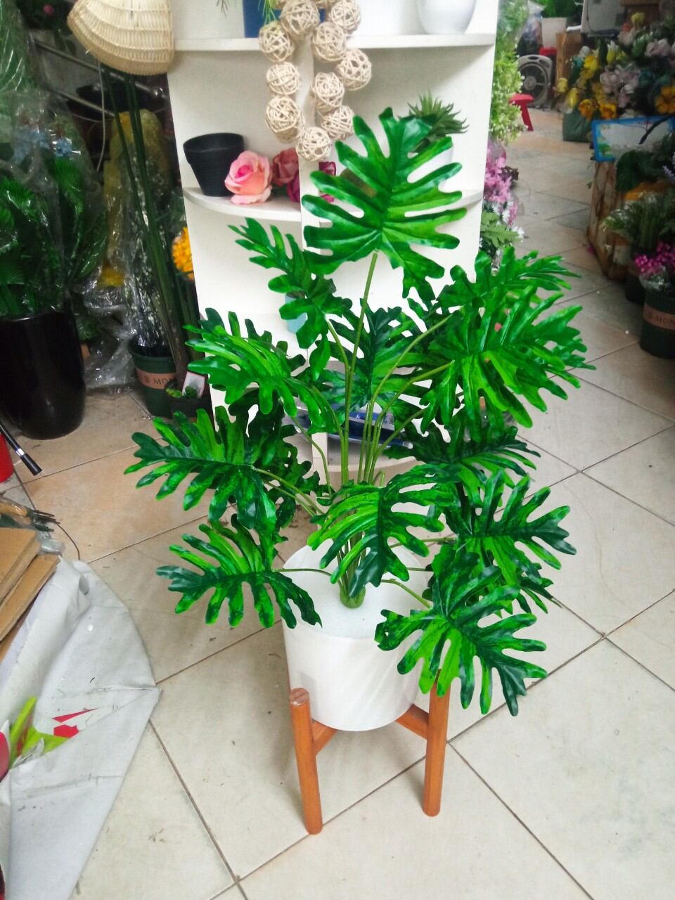 Cây giả- cây trầu bà thanh xuân 18 lá cao 80 cm, trang trí nhà cửa