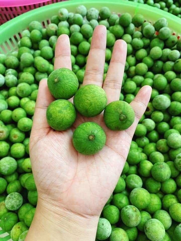 1kg quả sấu tươi
