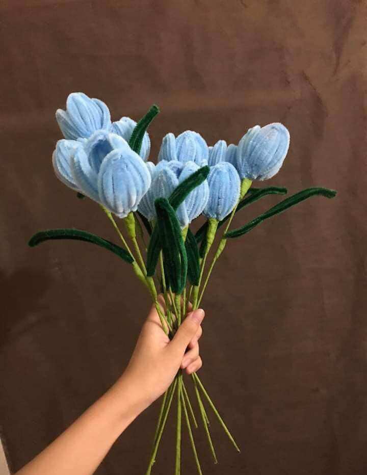 Hoa tulip kẽm Nhung