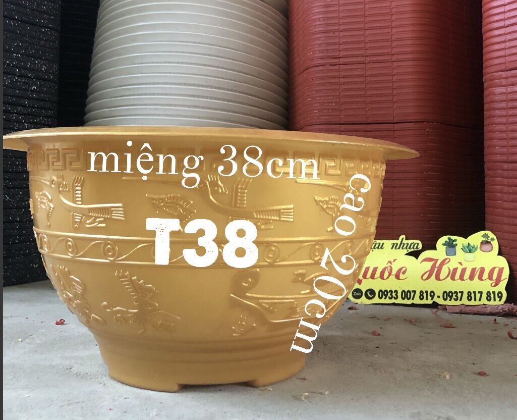 Combo 2 chậu truyền thống trống đồng vàng