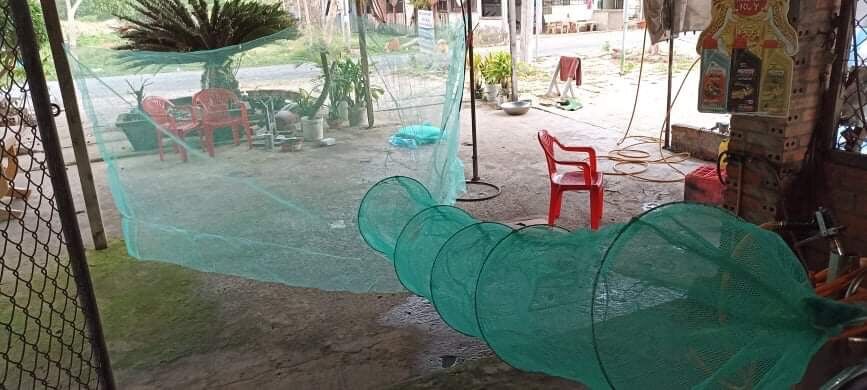 Dớn bắt cá Miền Tây Nam Bộ 🌾