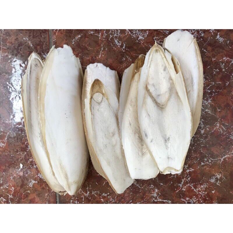 Nang mực chuẩn tự nhiên