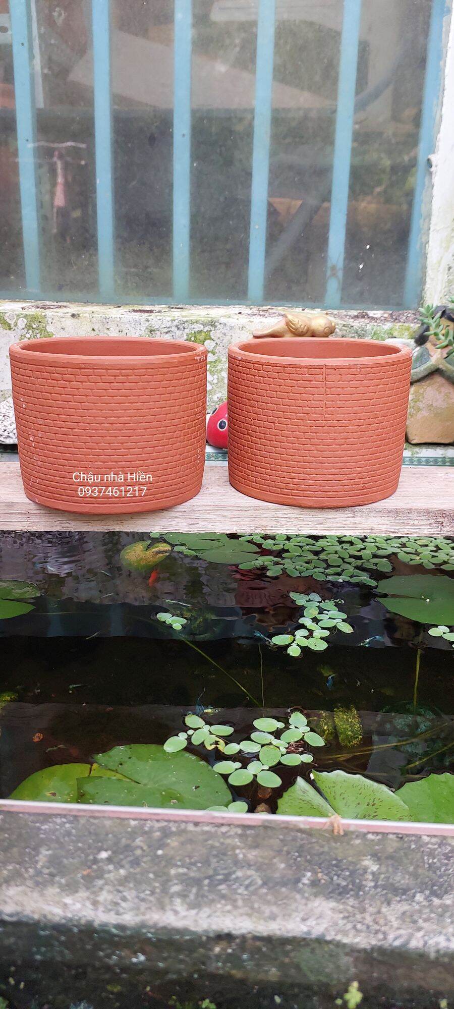 Chậu đất nung Bình Dương hình trụ da rắn m12.5 x c9.5