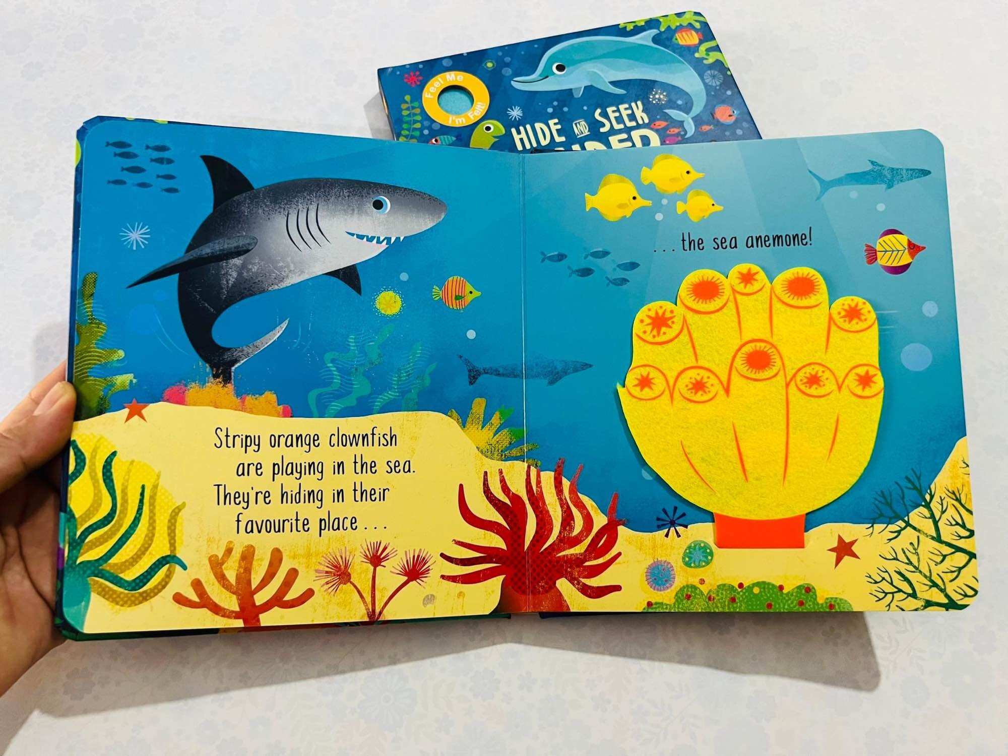 Hide and Seek Under the Sea