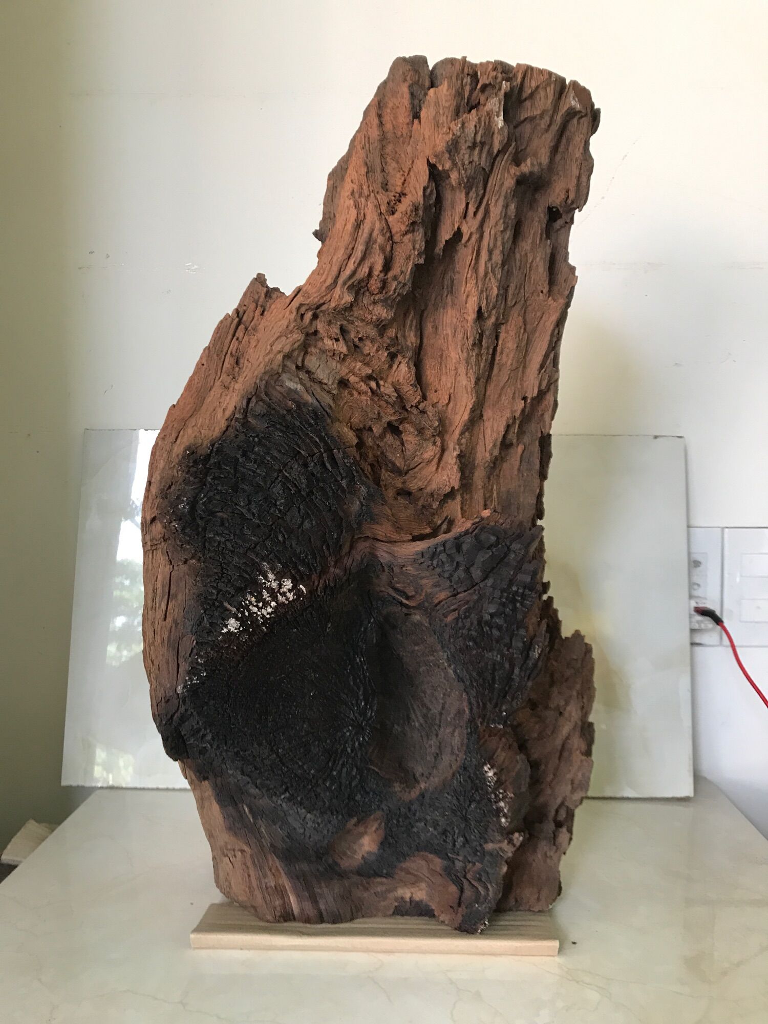 Lũa trang trí, decor…. ( lua 13)