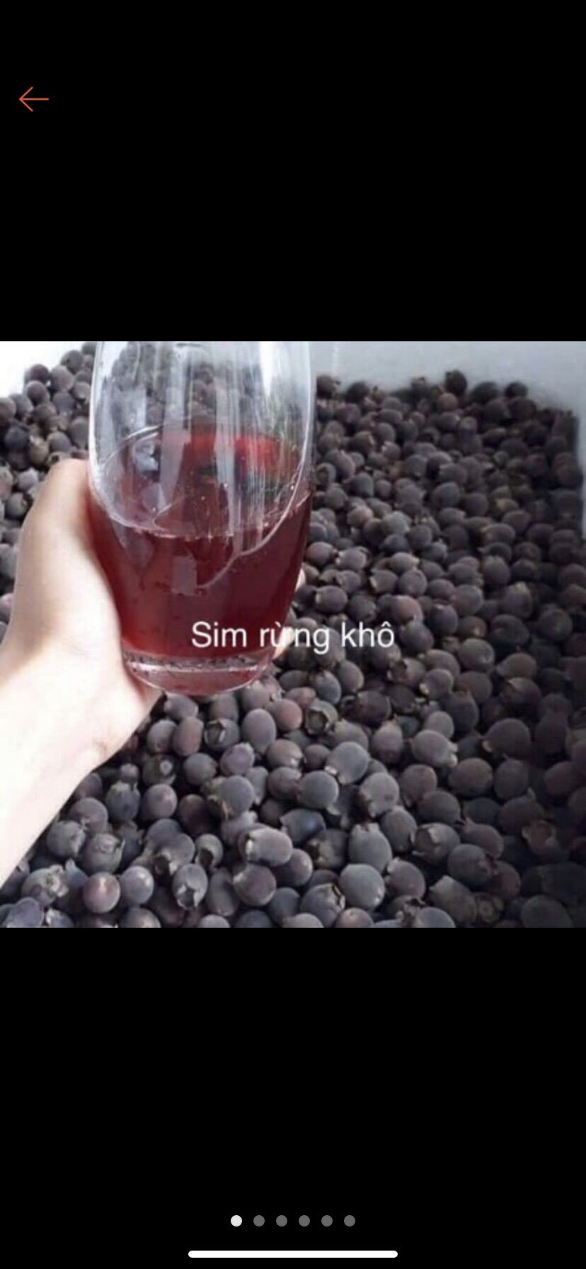 500gram sim rừng Tây Nguyên khô