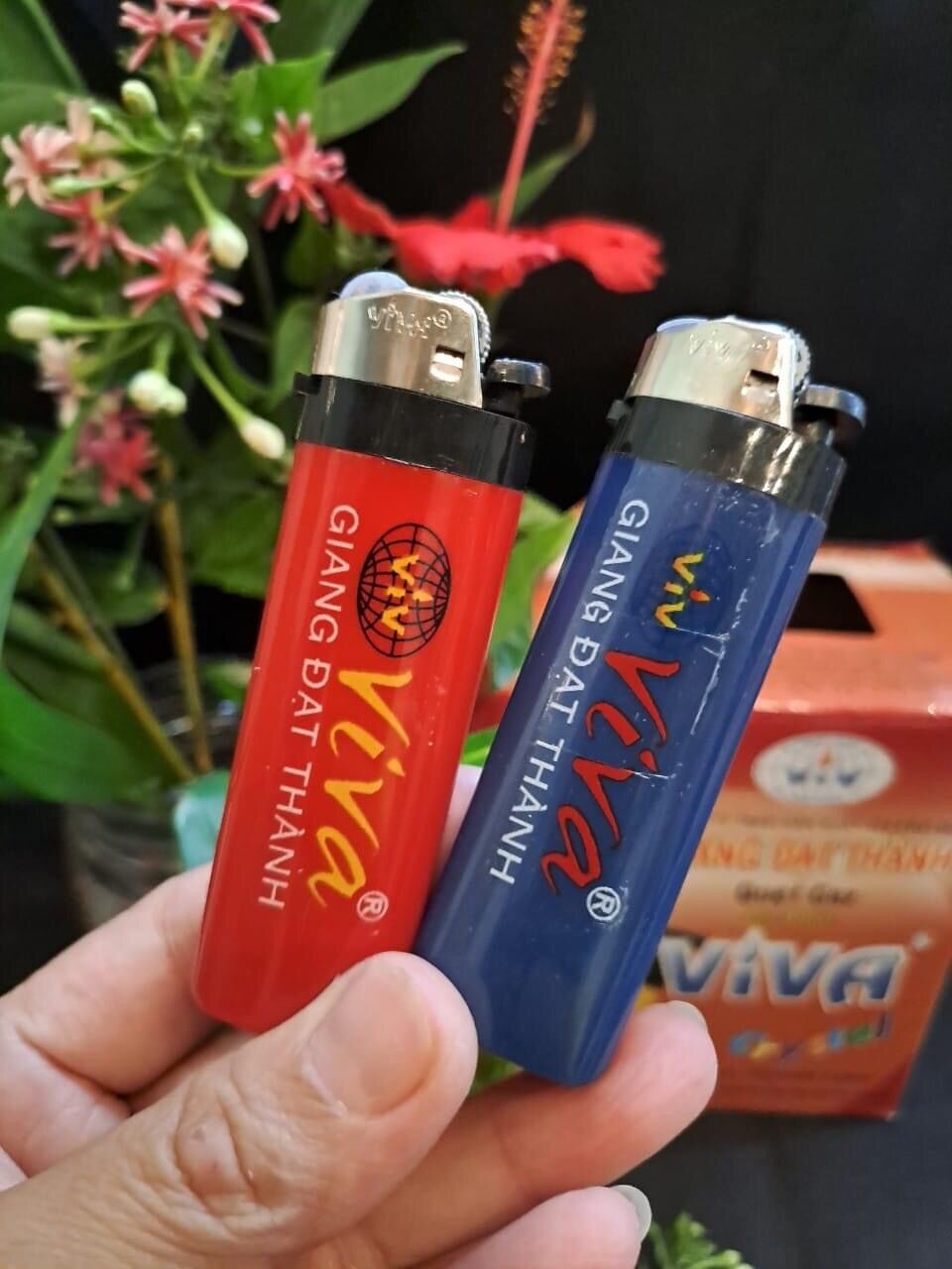 50 bật táo bấm ViVa Giang Đạt Thành nhiều màu ( nhiều lựa chọn )