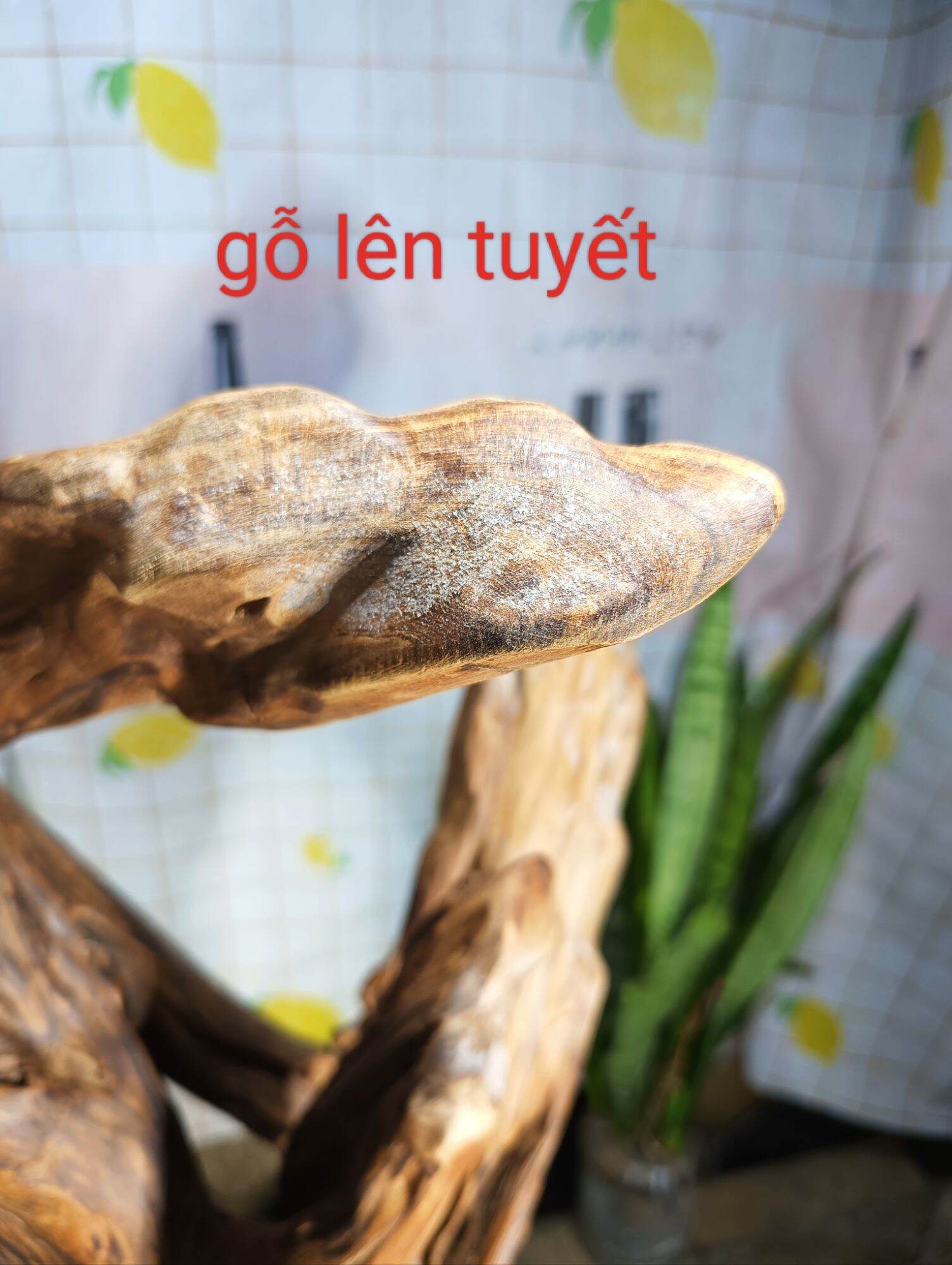 lũa gỗ thơm ngọc am đỏ hà giang